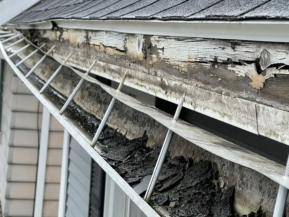 Slide of A&E Professionals