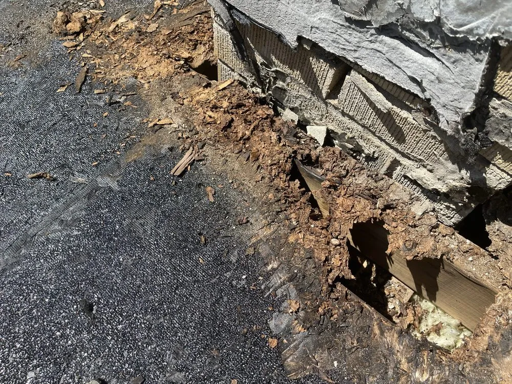 Slide of A&E Professionals