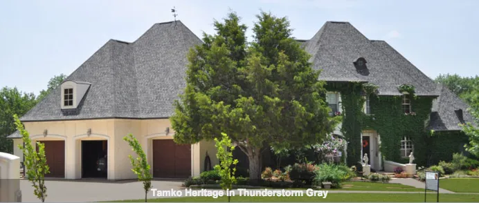 Slide of Aegis Quality Services