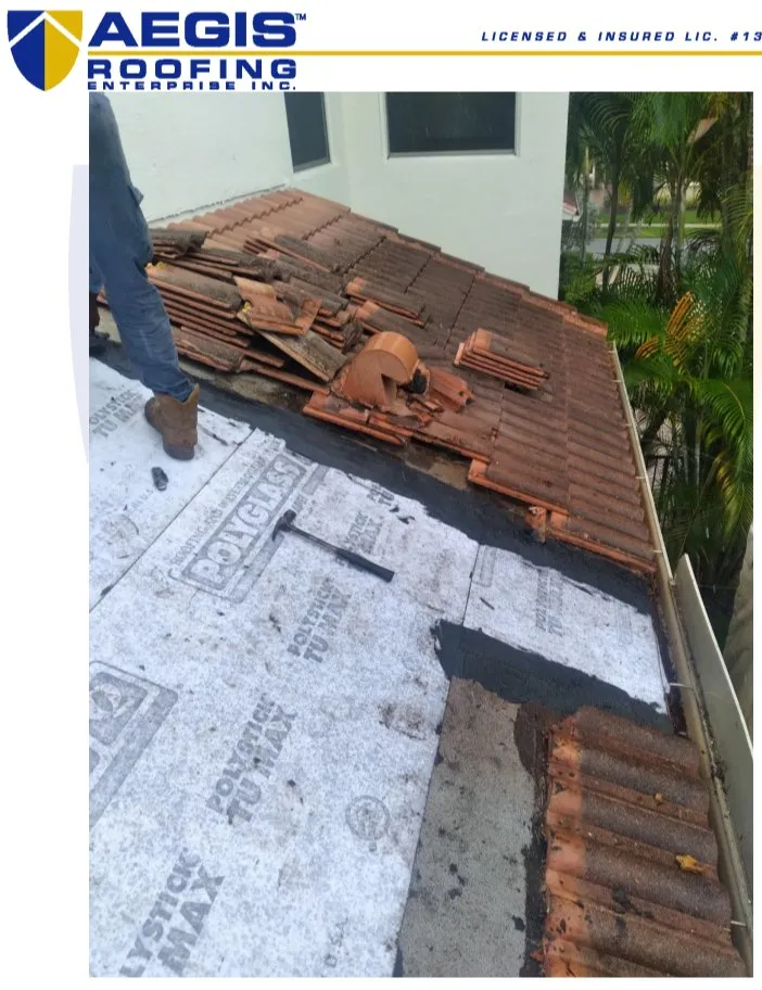 Slide of Aegis Roofing Enterprise