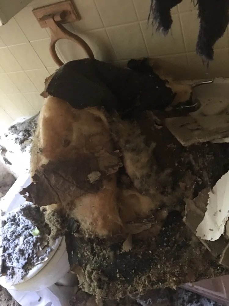 Slide of Affordable Exteriors