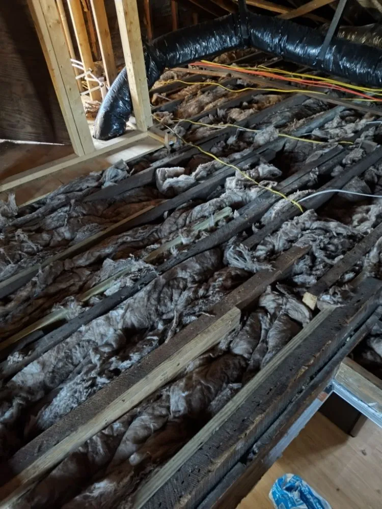 Slide of Affordable Insulation and Restoration