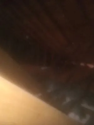 Affordable Lawn Care & More