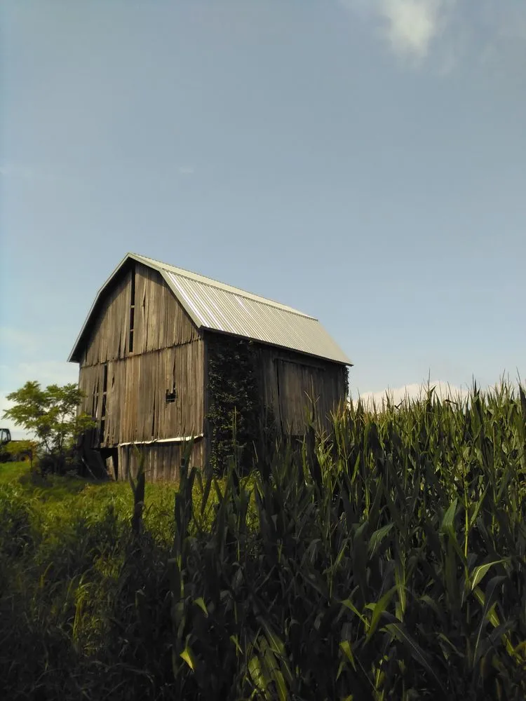 Slide of Affordable Metal Roofing