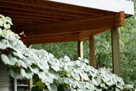 Slide of Affordable Northwest Roofing