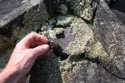 Slide of Affordable Roof Cleaning