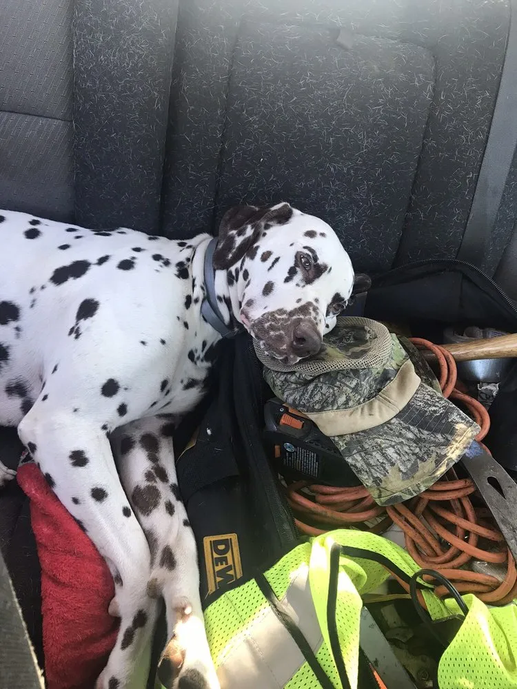 Slide of Affordable Roofing & Construction