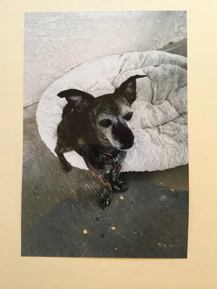 Slide of Affordable Roofing