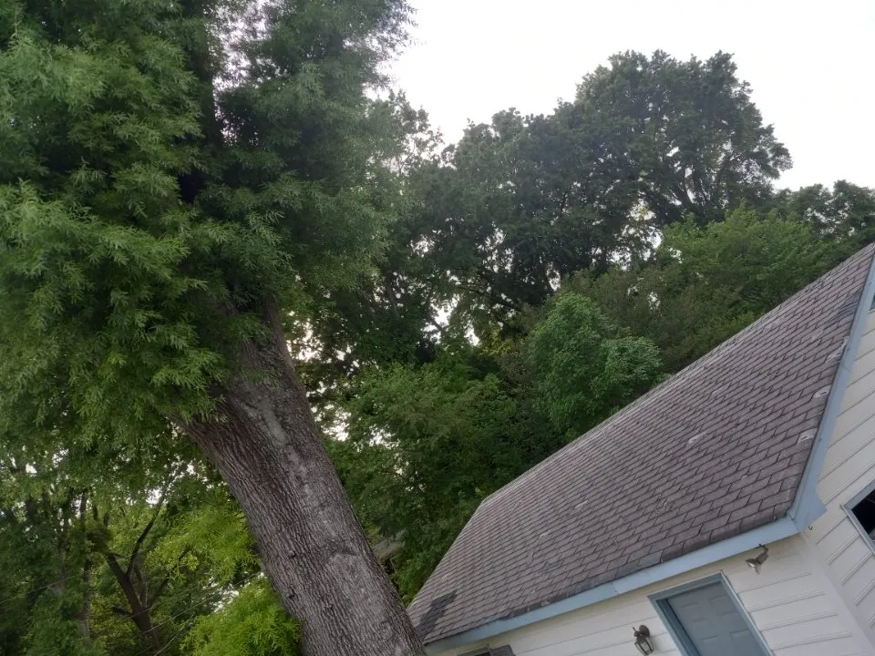 Slide of Affordable Roofs And Gutters