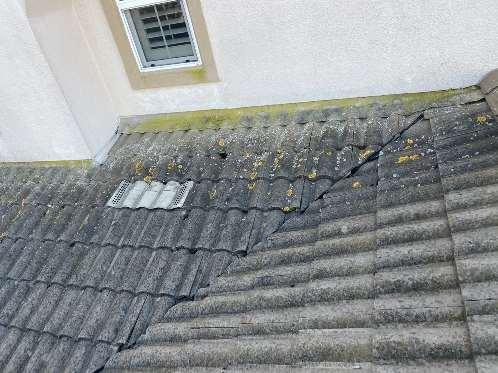 Slide of AFN Enterprise