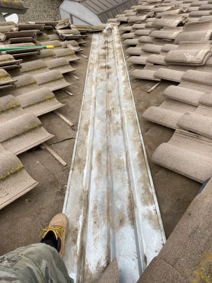 Slide of AFN Enterprise