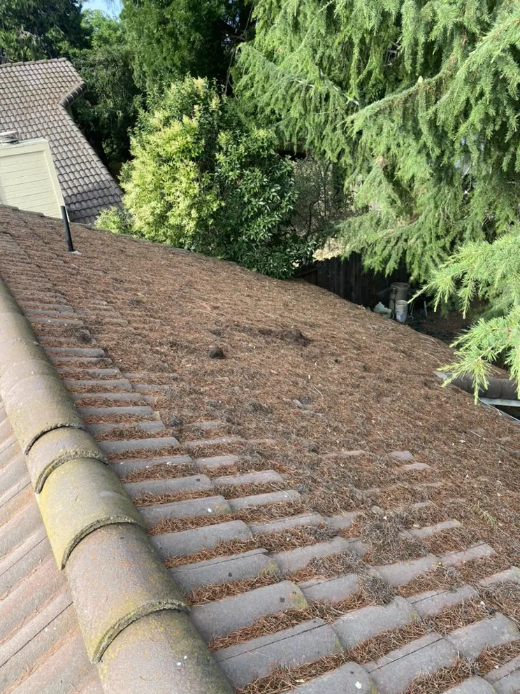 Slide of AFN Enterprise