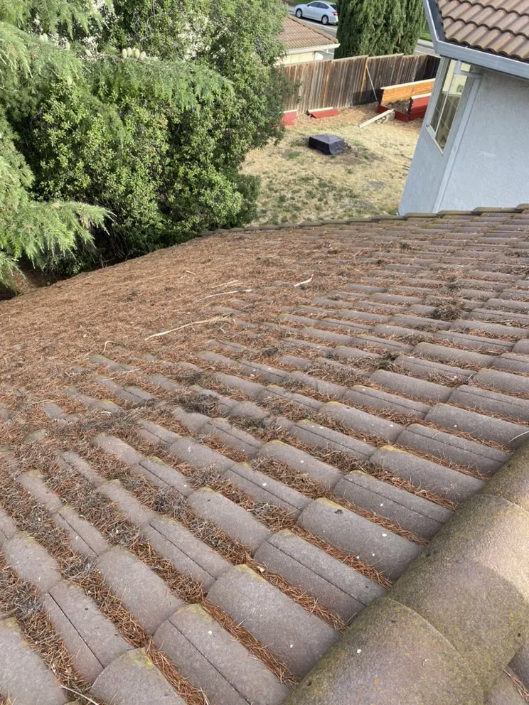 Slide of AFN Enterprise