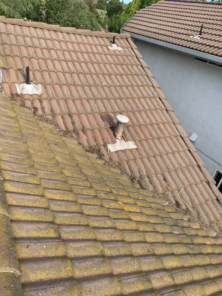 Slide of AFN Enterprise