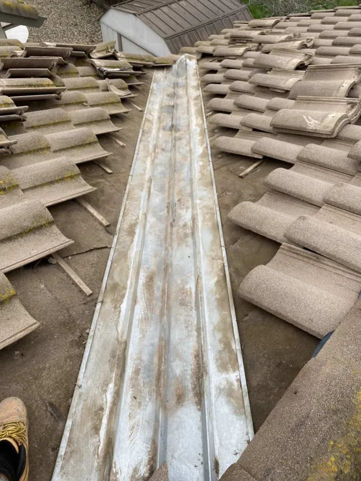 Slide of AFN Enterprise