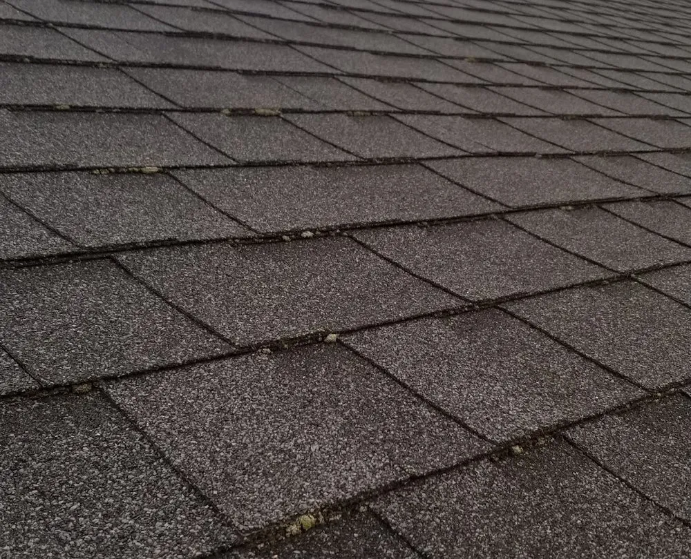 Slide of AGAPE Roof Cleaning