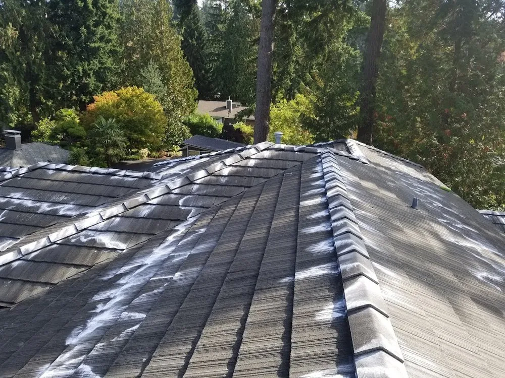 Slide of AGAPE Roof Cleaning