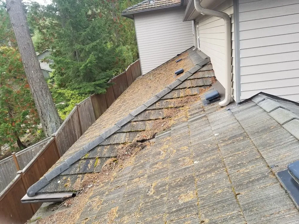 Slide of AGAPE Roof Cleaning