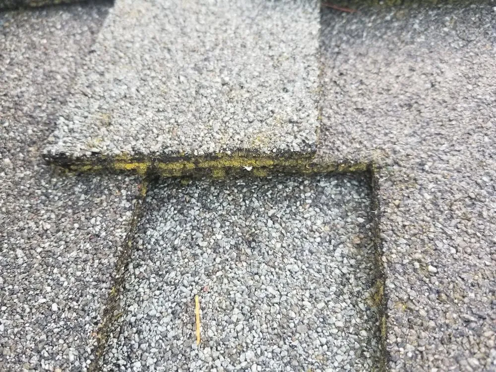 Slide of AGAPE Roof Cleaning
