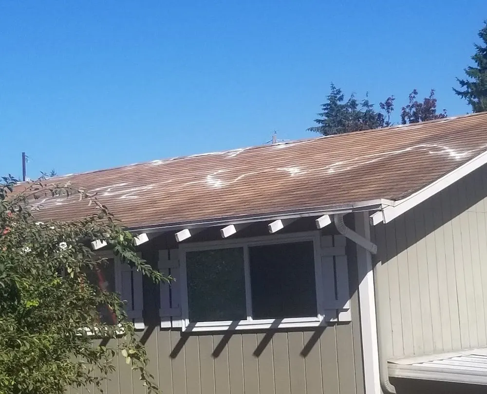 Slide of AGAPE Roof Cleaning