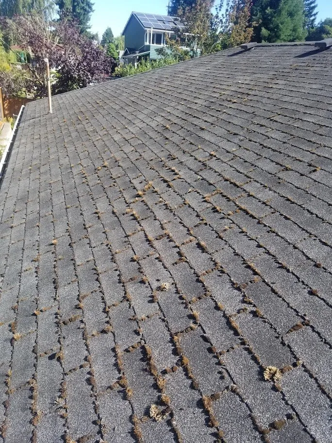 Slide of AGAPE Roof Cleaning