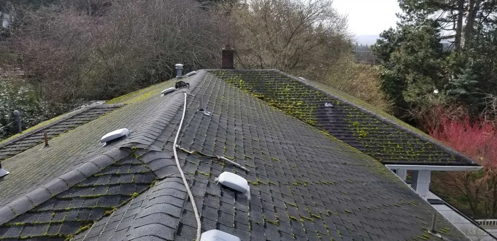 Slide of AGAPE Roof Cleaning