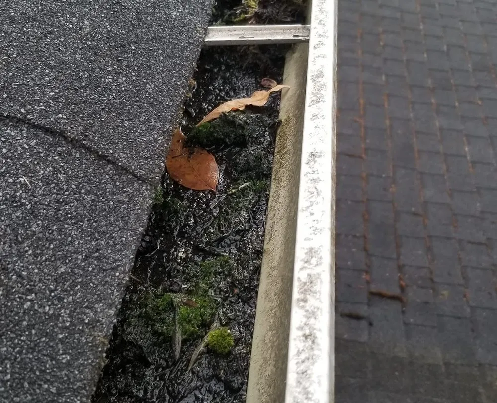 Slide of AGAPE Roof Cleaning