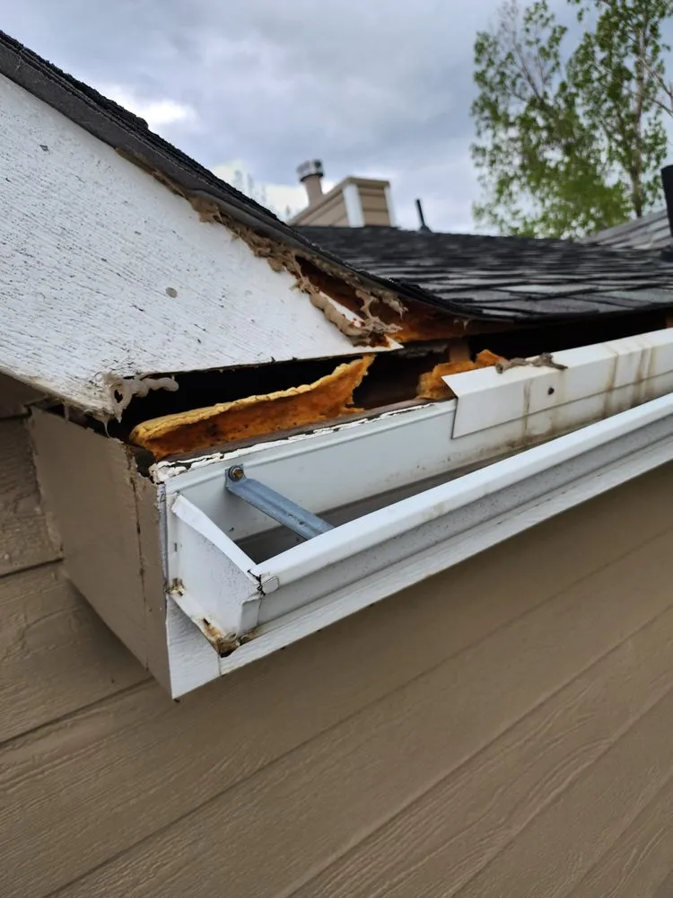 Licensed roof installation with free inspection in Bellvue, CO by Aggie Roofing