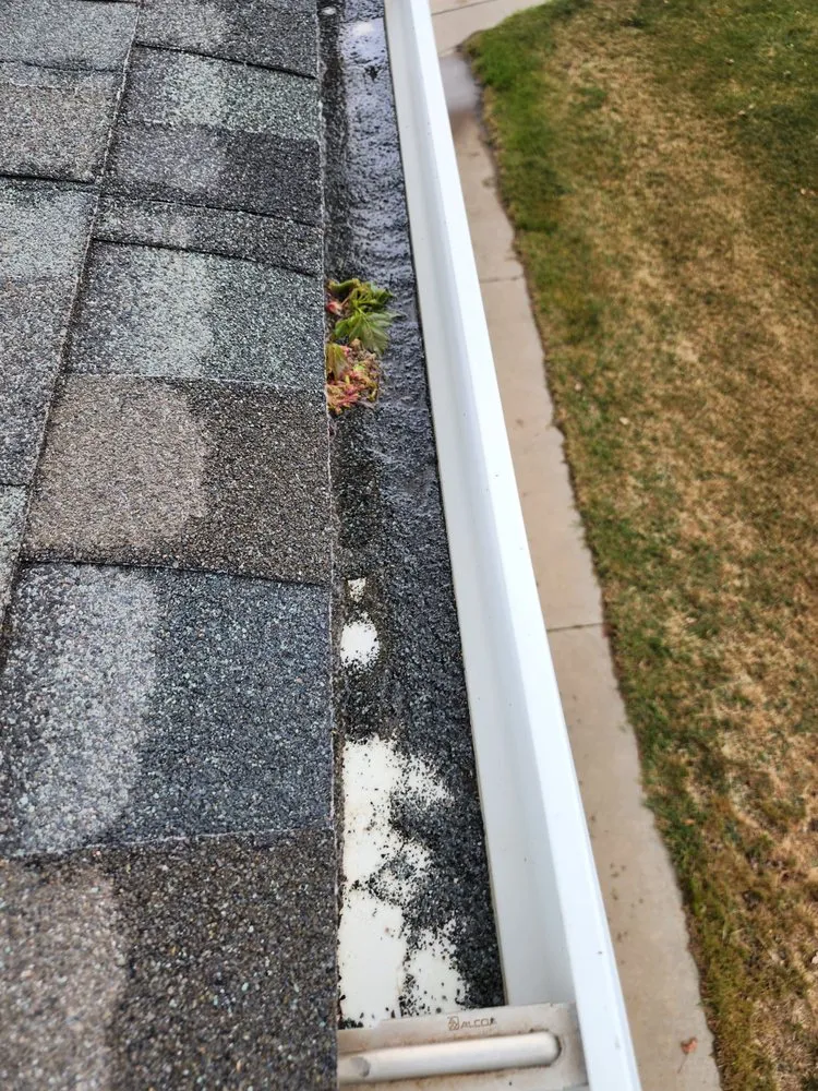 Professional storm damage roof repair in Bellvue, CO - Aggie Roofing