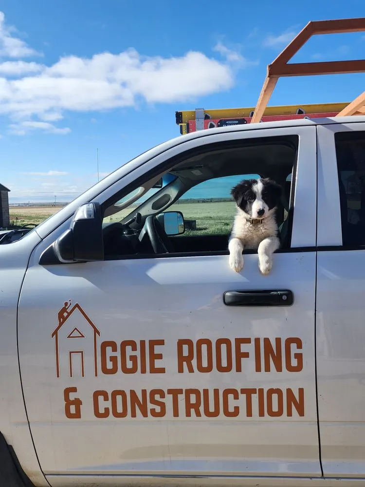 Expert residential roofing service in Bellvue, CO by Aggie Roofing