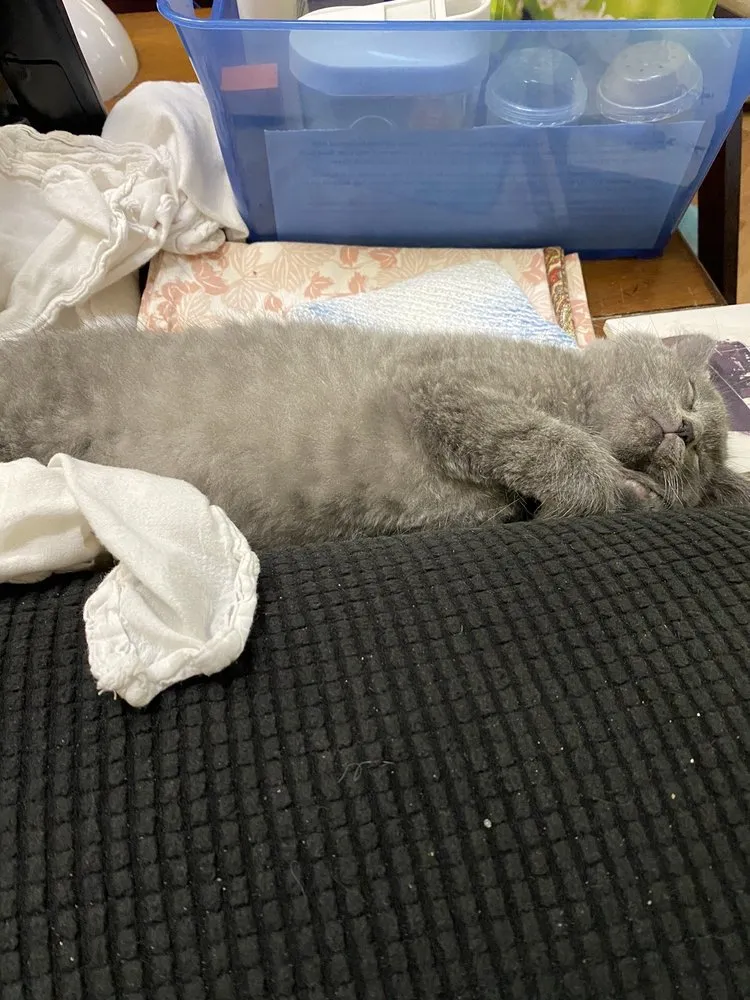 Slide of Agile Roofing