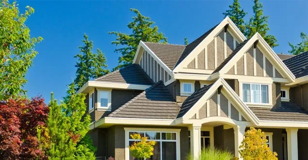 Slide of Agressive Construction