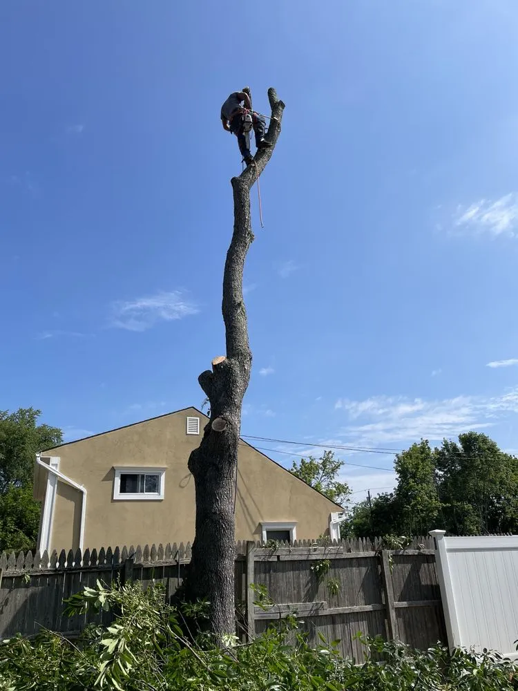 Slide of Aguila Tree Services