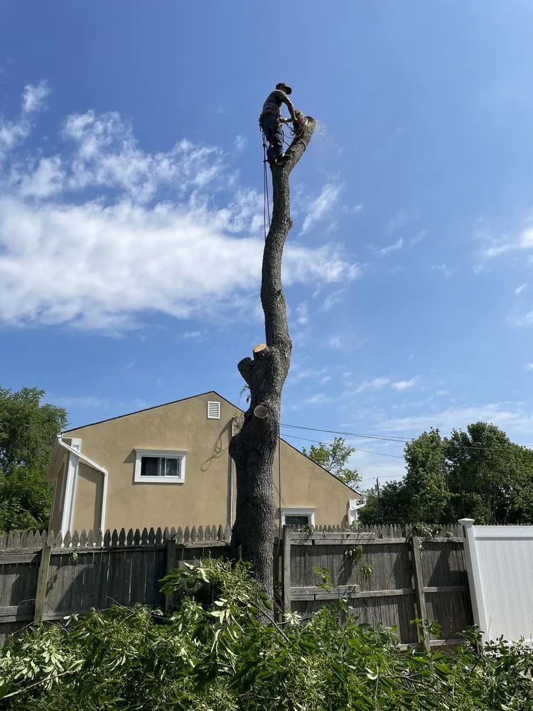 Slide of Aguila Tree Services