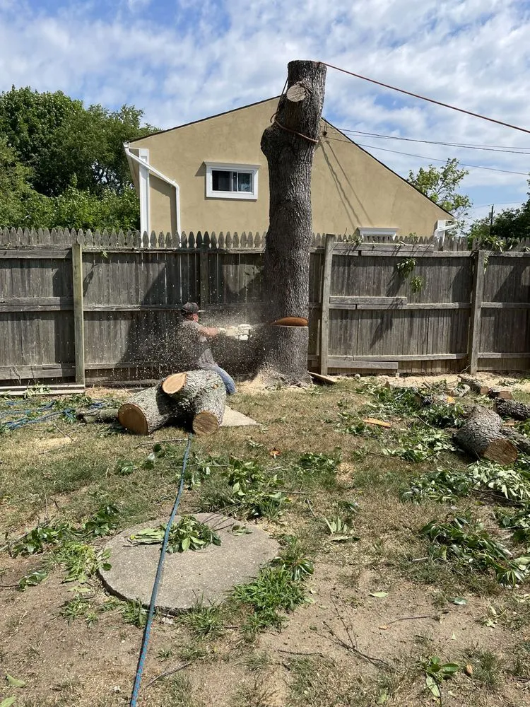 Slide of Aguila Tree Services