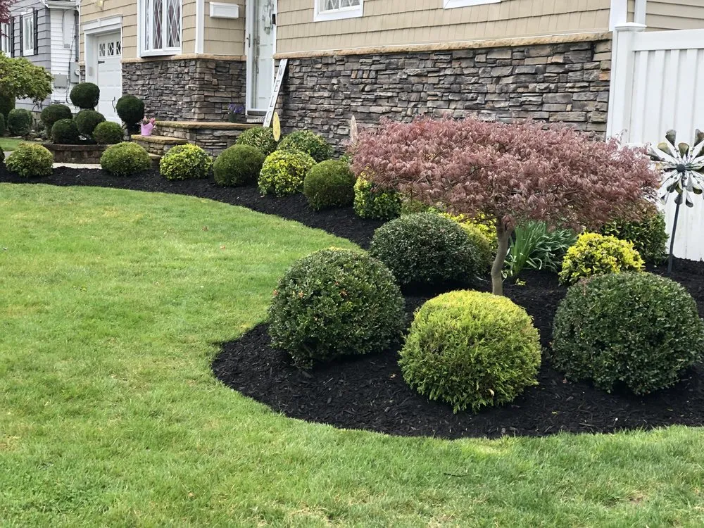 Slide of Aguila Tree Services