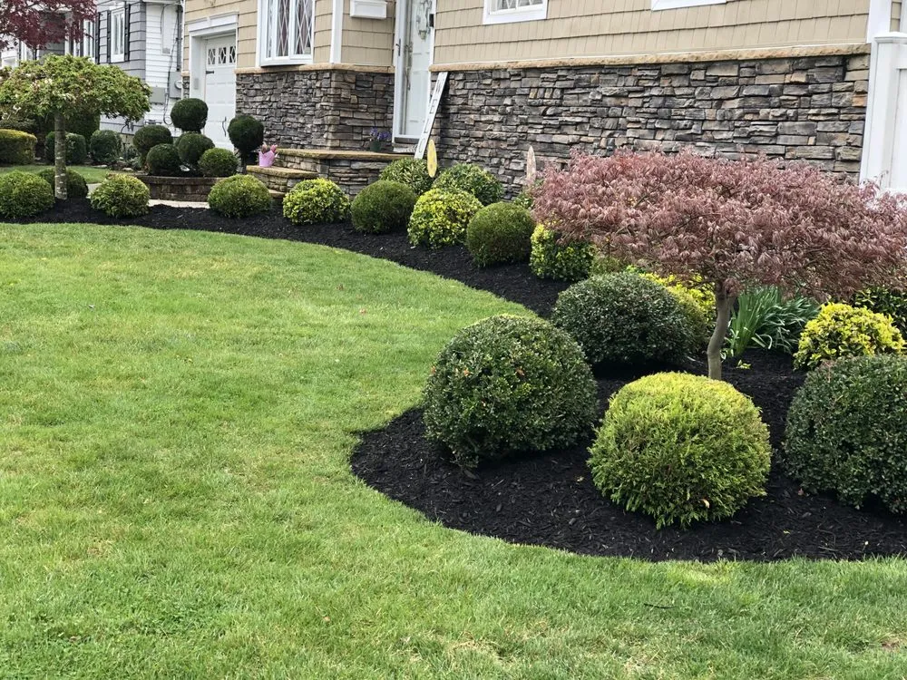 Slide of Aguila Tree Services