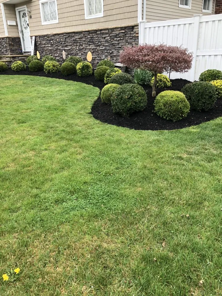 Slide of Aguila Tree Services