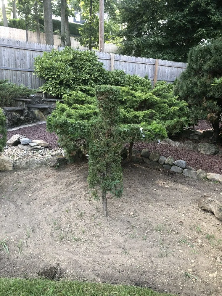 Slide of Aguila Tree Services