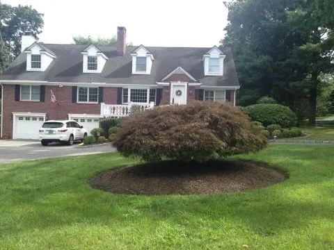 Slide of Aguila Tree Services