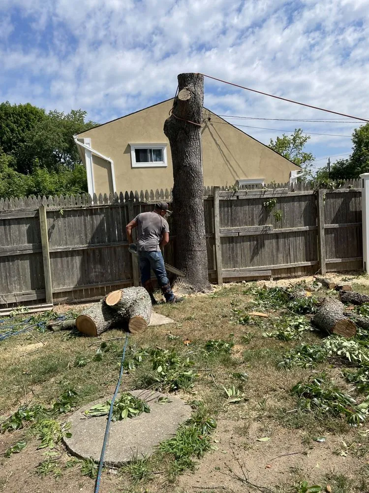 Slide of Aguila Tree Services