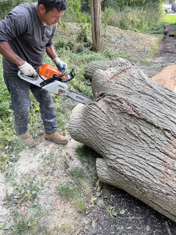 Slide of Aguila Tree Services