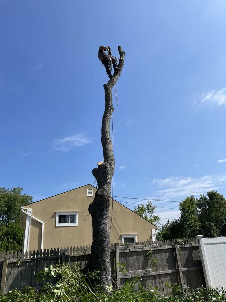 Slide of Aguila Tree Services