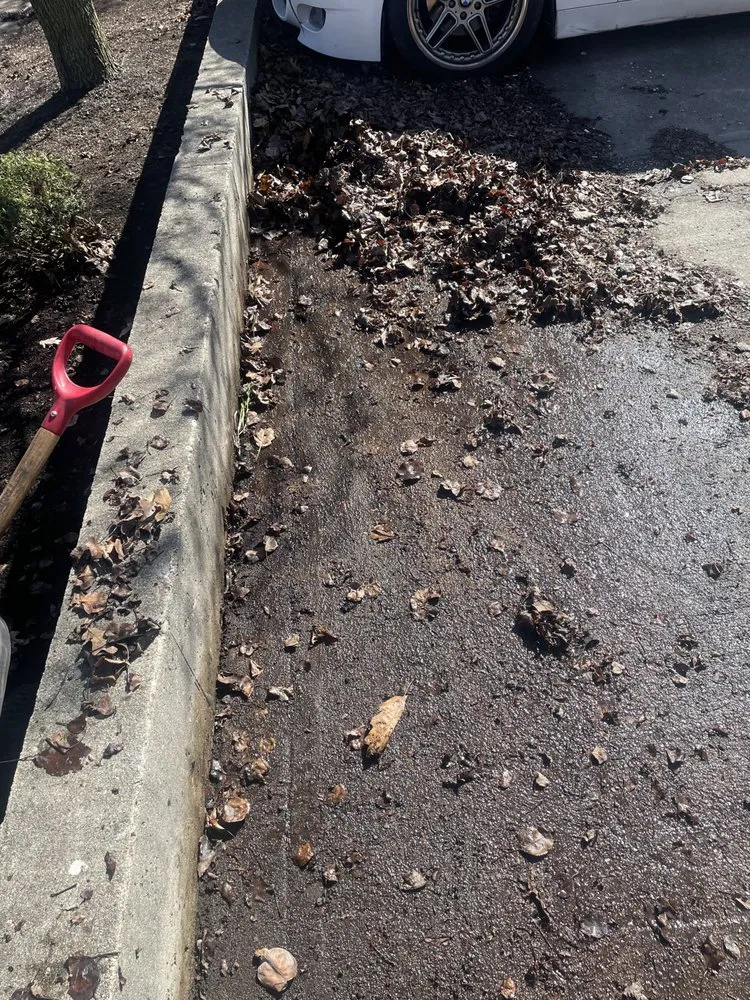 Slide of Aim 2 Smile