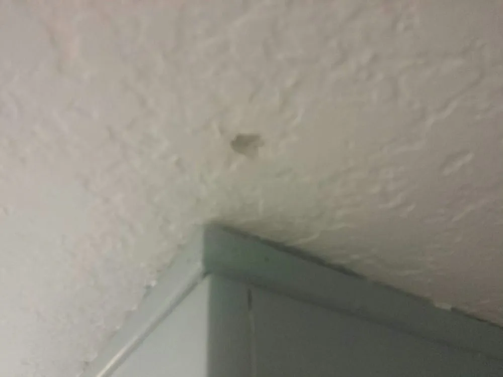 Slide of A&J Anytime Home Repair