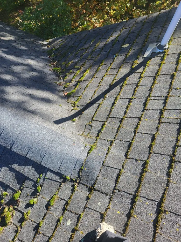 Slide of AJ Chen Services