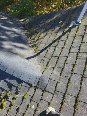 AJ Chen Services Logo