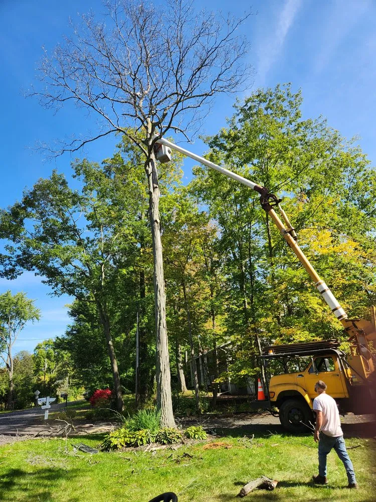 Reliable roof leak repair for homes across Pine City, NY - A&J Contracting