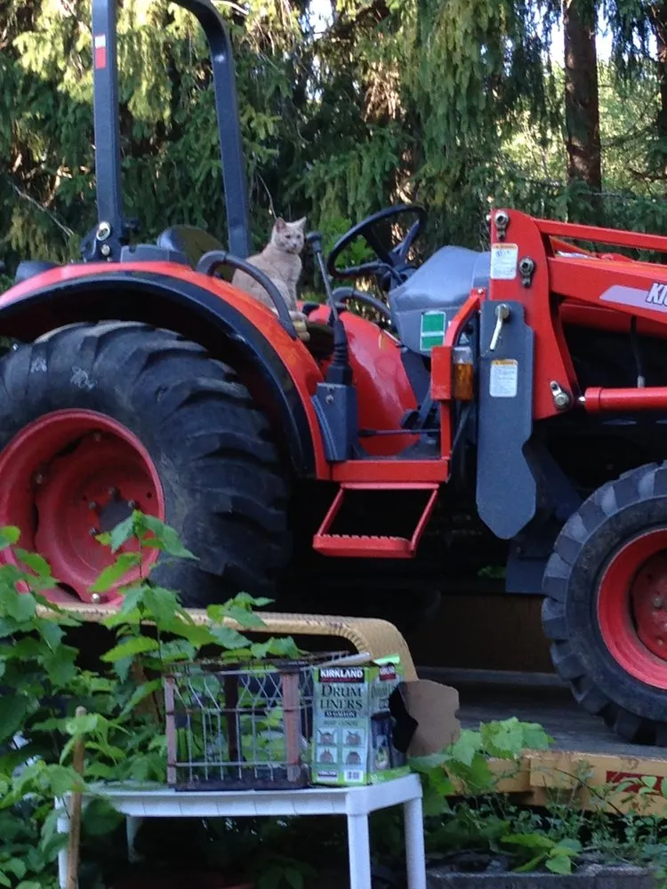 Slide of AJS Restoration & Construction