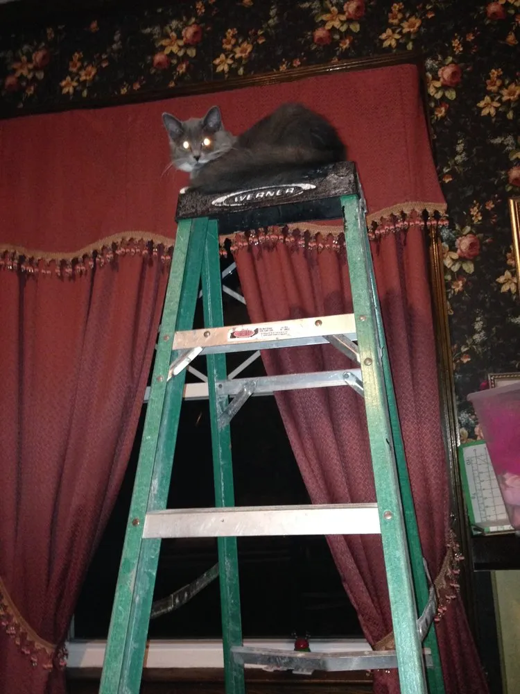 Slide of AJS Restoration & Construction